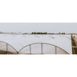 Пленка тепличная Agriplast Agrilux 7-слойная 150мкм 16м, в размотку от 5м (кратно 1м) Пленка тепличная Agriplast Agrilux 7-слойная 150мкм 16м, в размотку от 5м (кратно 1м)